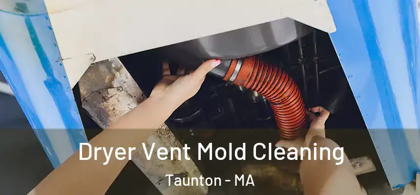  Dryer Vent Mold Cleaning Taunton - MA