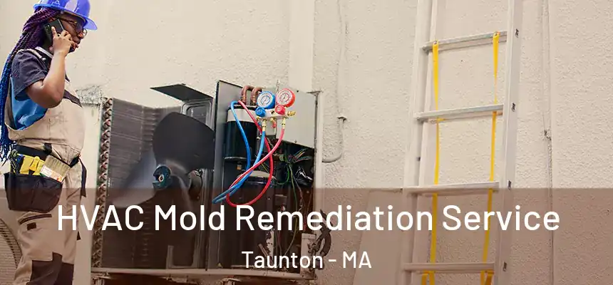  HVAC Mold Remediation Service Taunton - MA