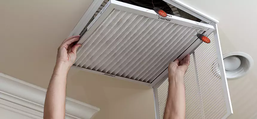 Preventive Cockroach-Proofing for Ducts in Taunton