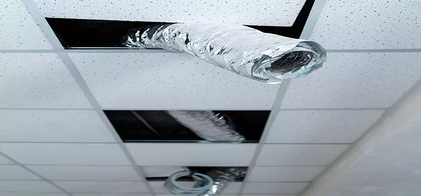 Our Air Duct Pet Hair Removal Services in Taunton, MA