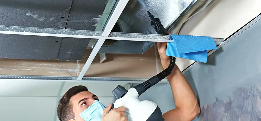 Our Air Duct Rodent Removal Services in Taunton, MA