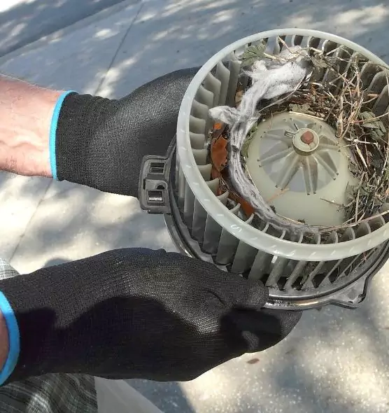 About Air Duct Mice Removal in Taunton, MA