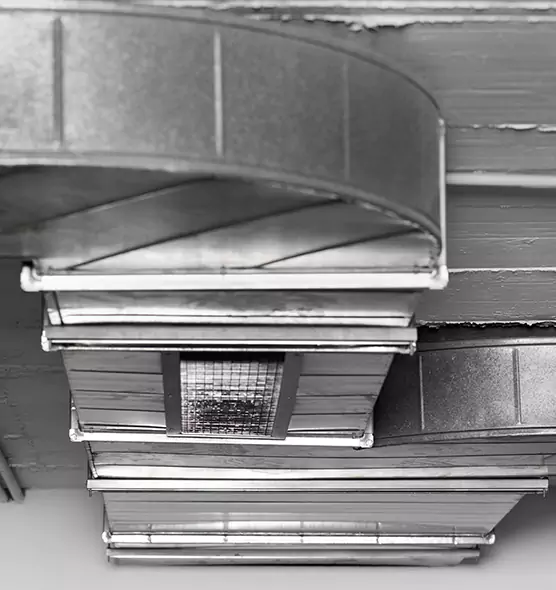 Professional Air Duct Pest Removal in Taunton, MA