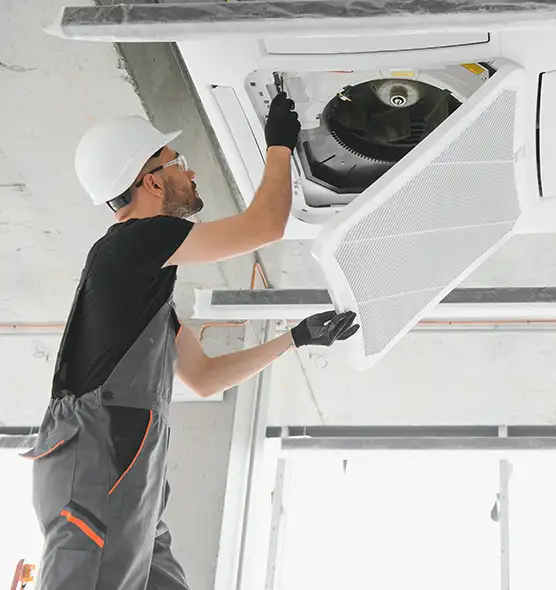 About Air Duct Rodent Removal in Taunton, MA