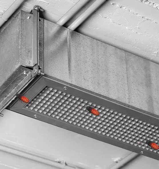 Affordable Insect Removal from Air Ducts in Taunton, MA