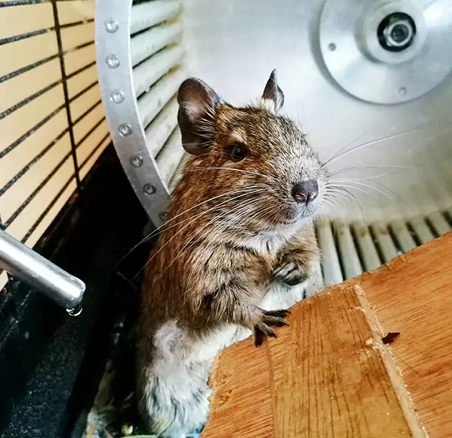 Why Homeowners & Businesses Trust Us Taunton, MA?