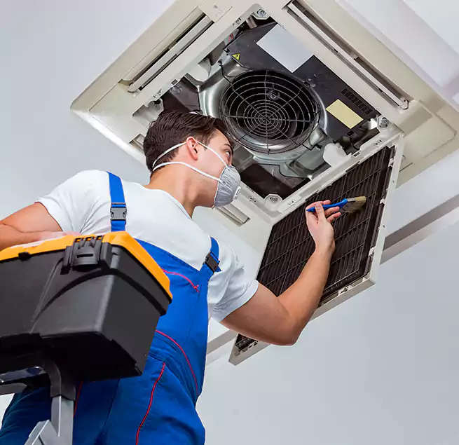 Why Homeowners & Businesses Trust Us in Taunton, MA?